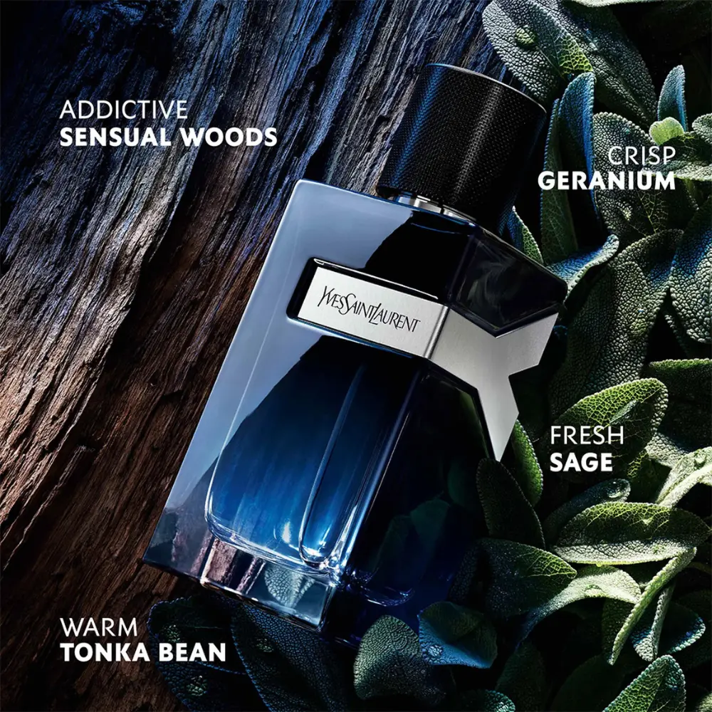 YSL Y Eau de Parfum Fragrance Notes YSL Y EDP bottle with labelled sage, geranium, sensual woods and tonka bean notes